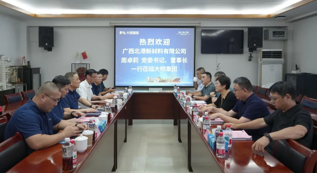 北港新材料董事长周卓莉一行来访大明